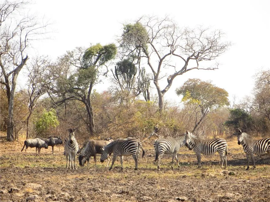 Ecological & Biodiversity